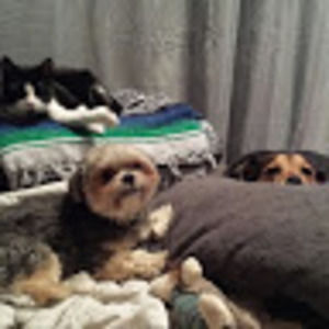 Meet your Posher, Crystal